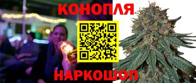 винт Будённовск