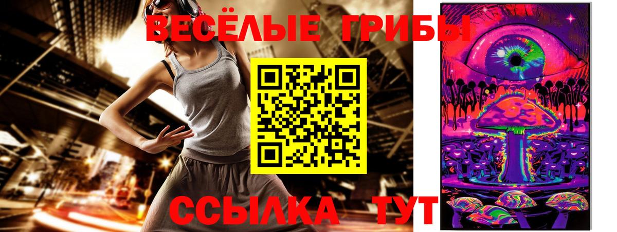 Галлюциногенные грибы Psilocybine cubensis Людиново